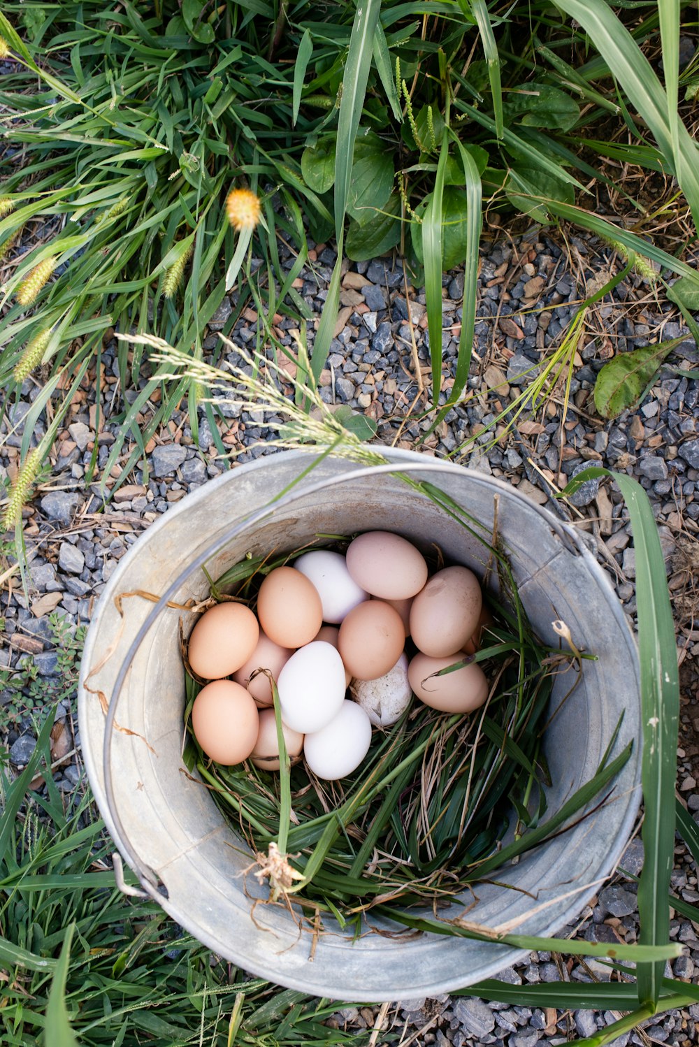 white eggs in gray bucket