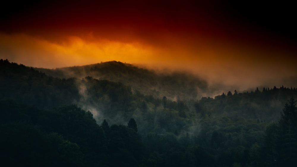 green trees on mountain during daytime