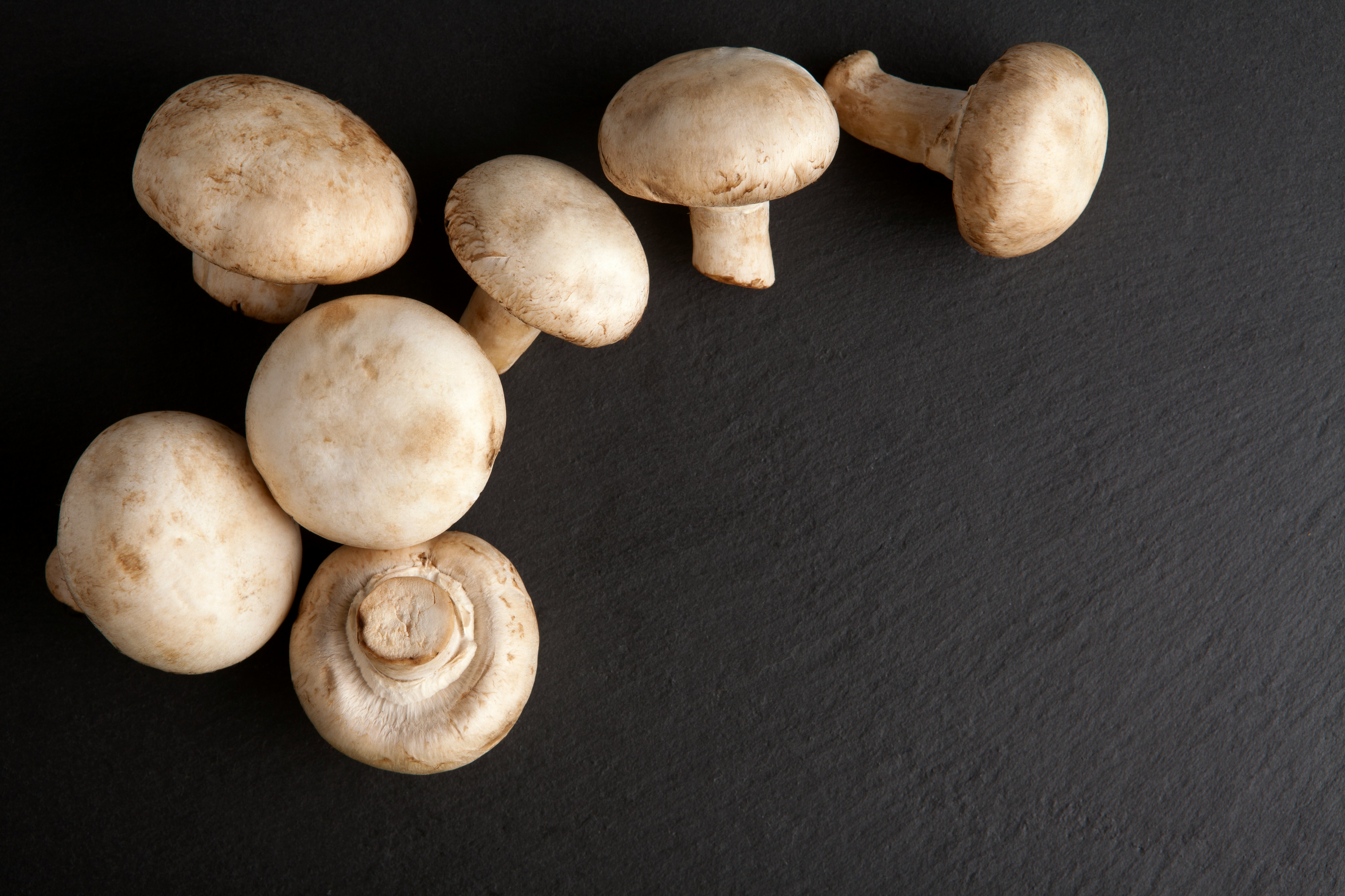 white mushrooms on black textile