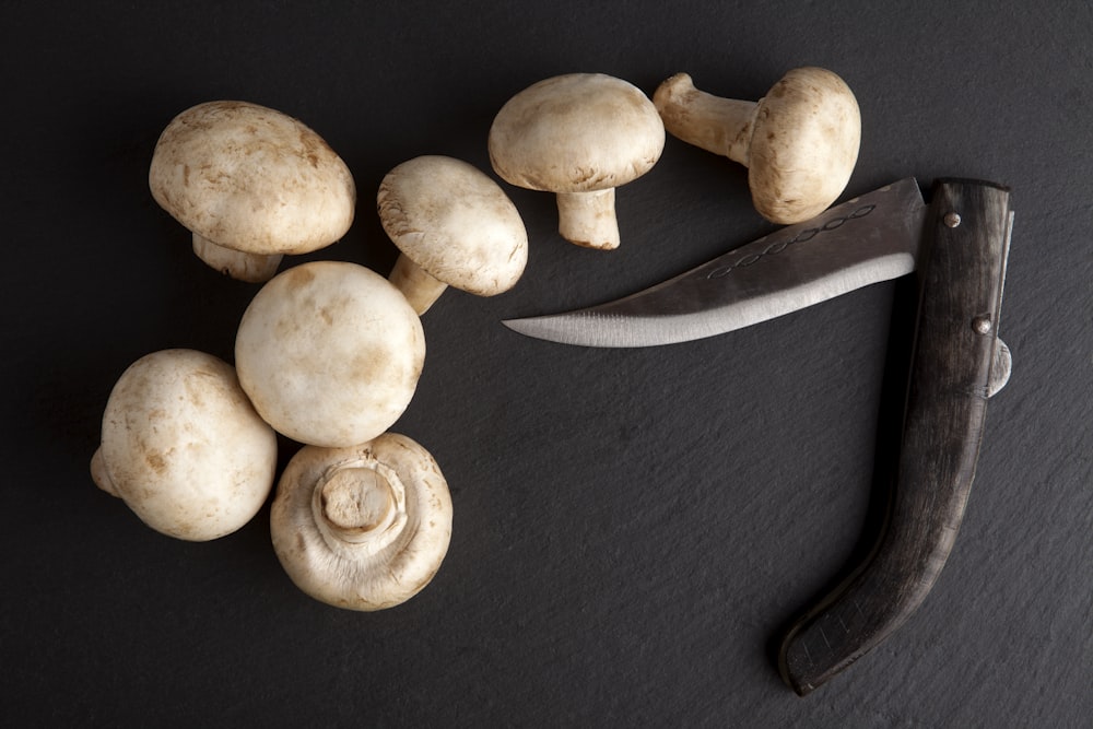 white mushrooms on black textile