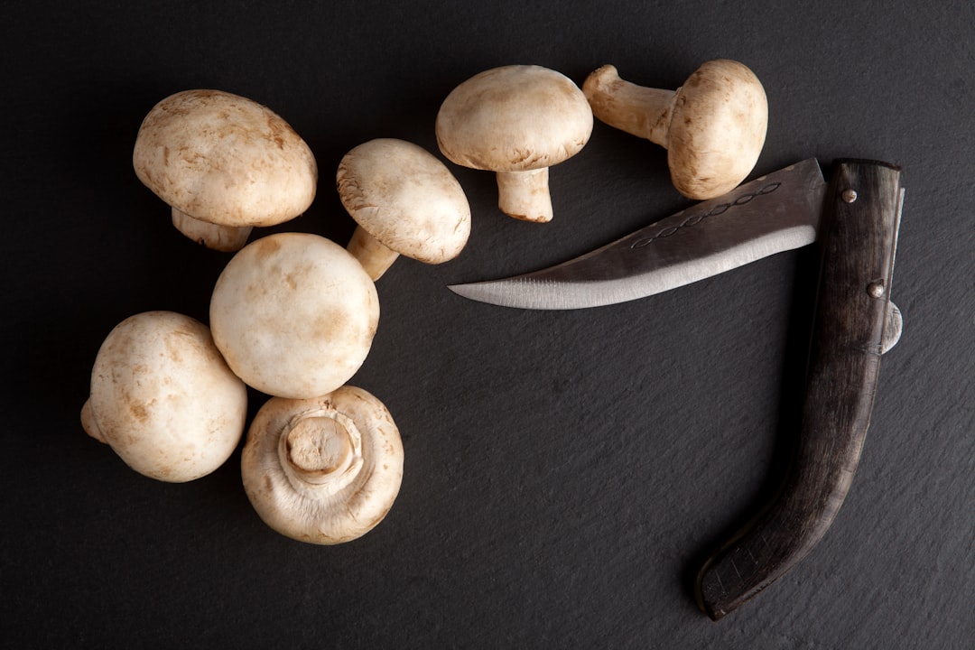 white mushrooms on black textile