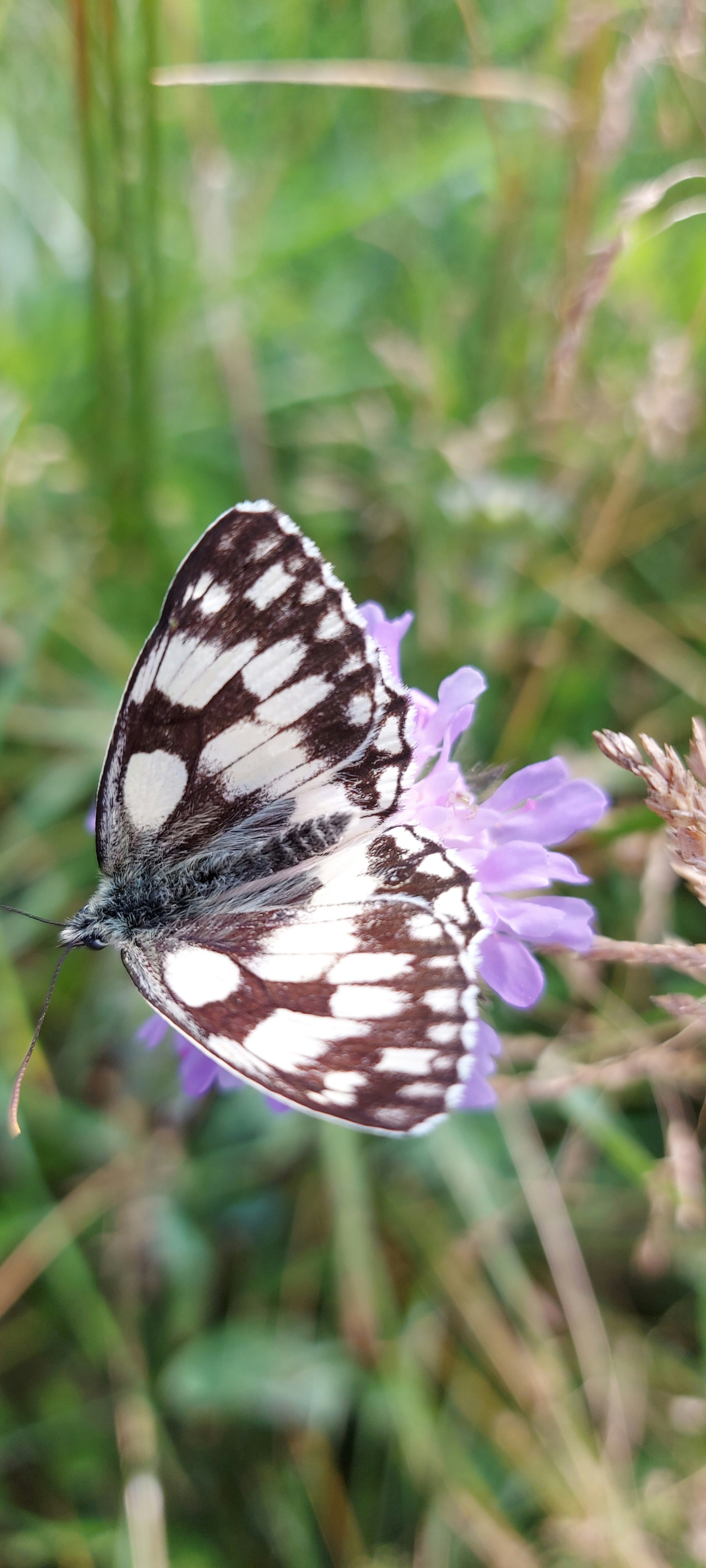 Photo by kacommunications