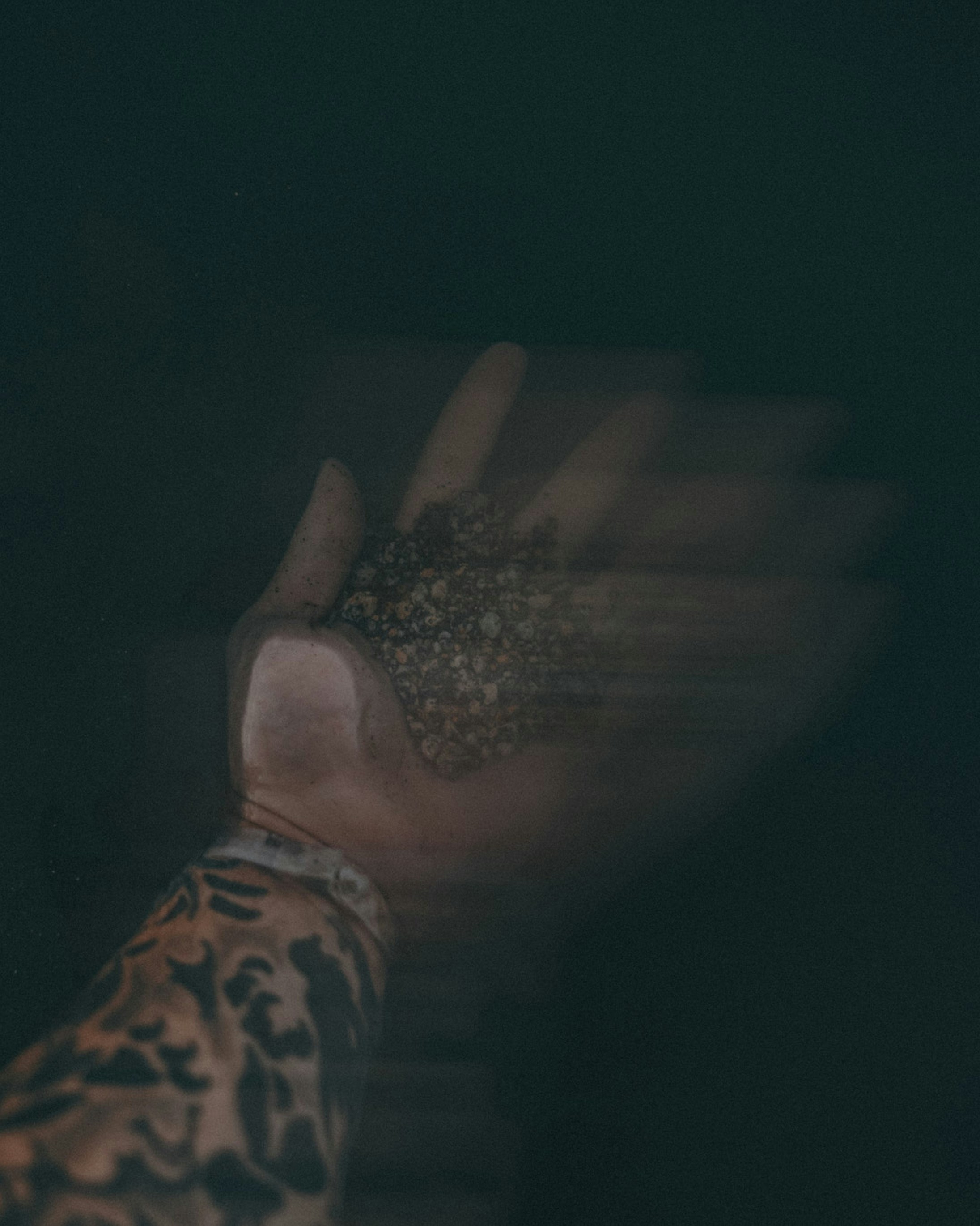 Photo by lazrodriguez__