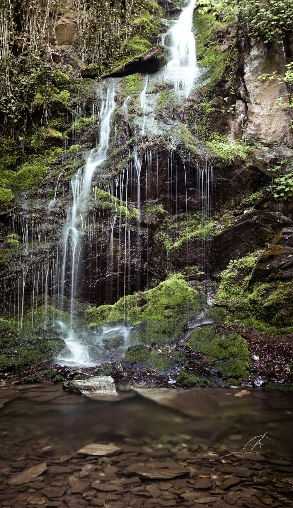 waterfalls in the middle of the forest