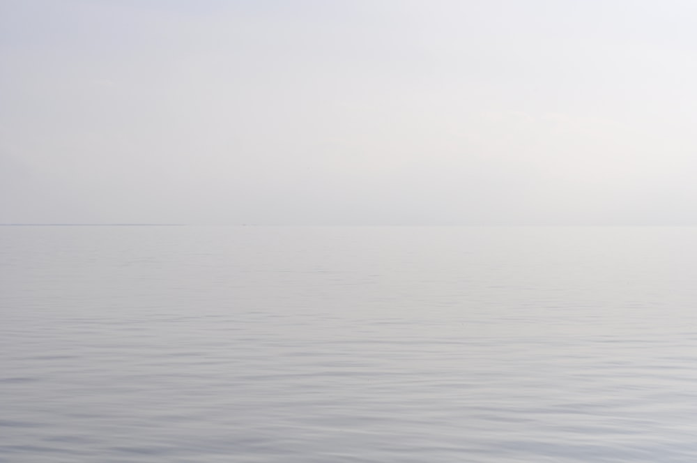 body of water under white sky during daytime