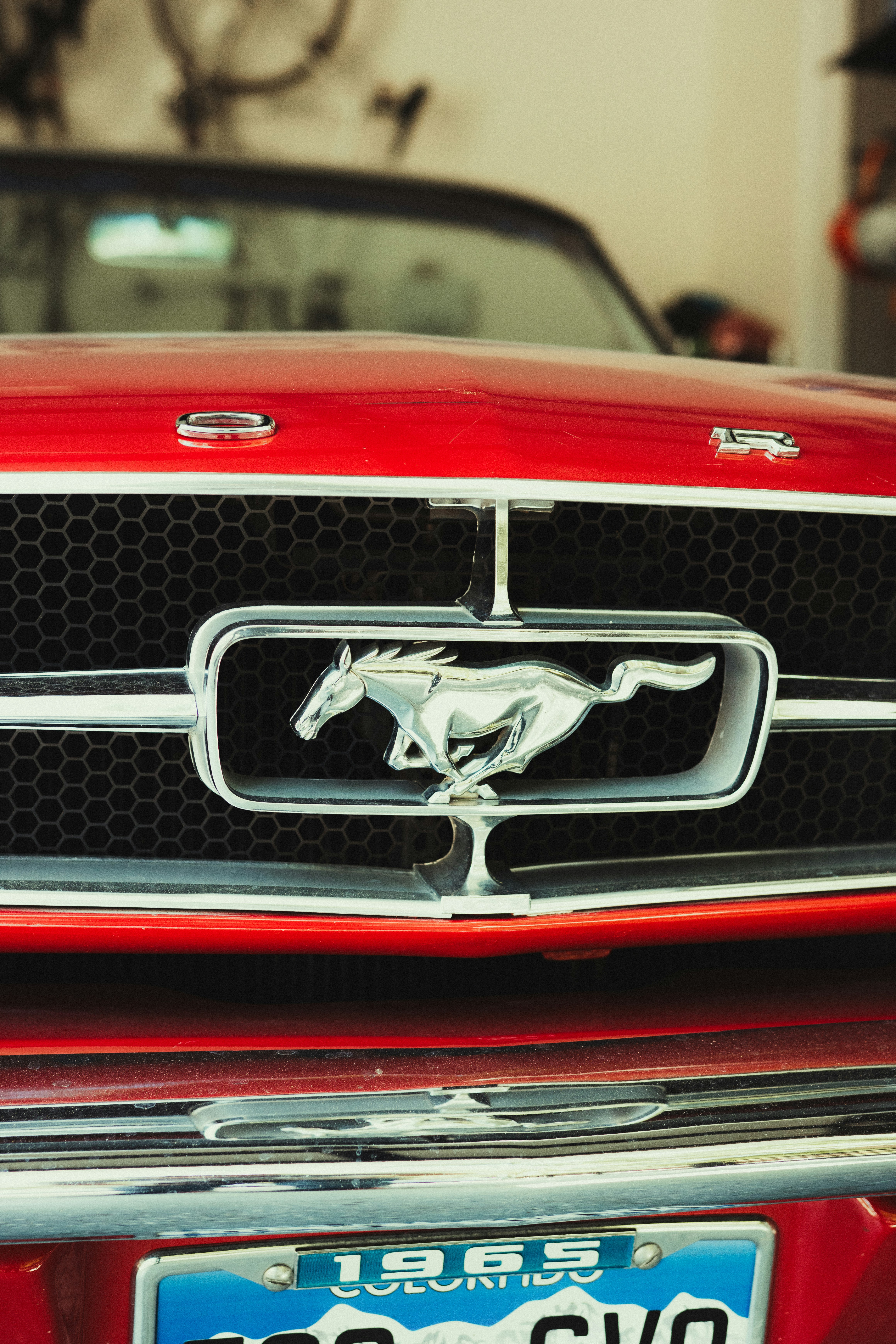 Photo by jakobnoahrosen