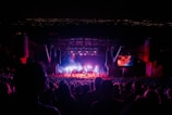 A large crowd attending a nighttime outdoor concert. The stage is illuminated with bright lights, featuring multiple musicians performing. A large screen to the right of the stage displays a close-up of a performer playing a guitar. The background consists of a dark sky, suggesting the concert is set in an open-air venue, possibly with a cityscape visible faintly in the distance.