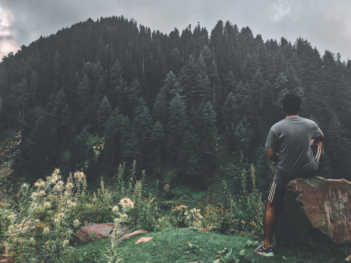 Grassy meadow on a mountain top