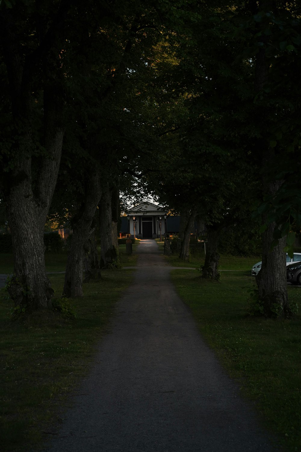 gray concrete pathway between green trees during daytime