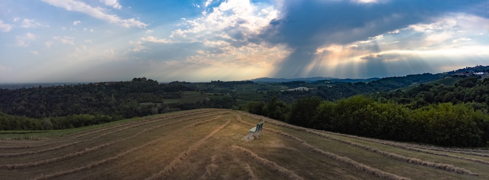 Grüne Bäume auf braunem Feld unter blauem Himmel tagsüber