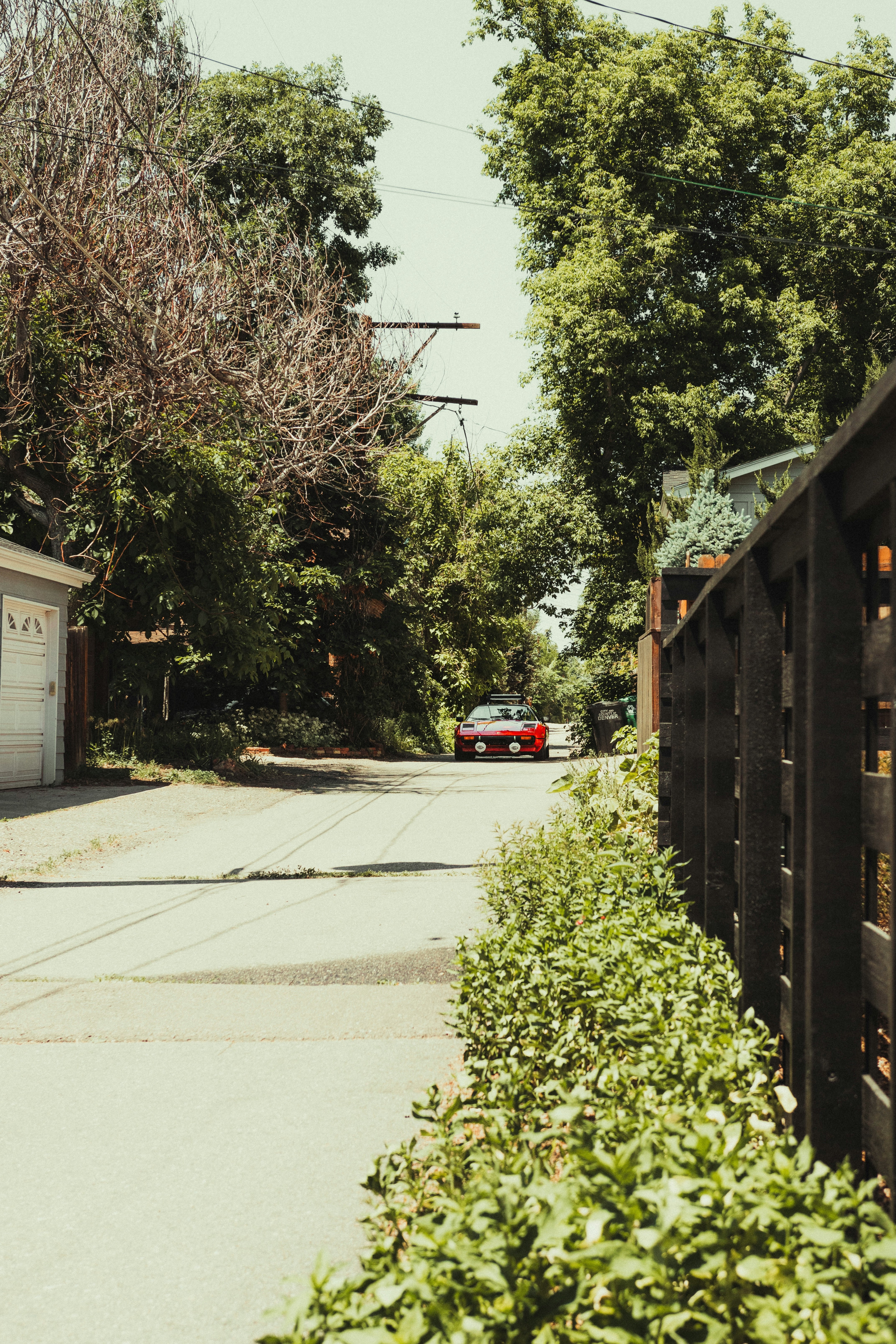 red car parked beside green tree during daytime