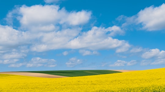 green grass field under blue sky and white clouds during daytime in Kapoly Hungary