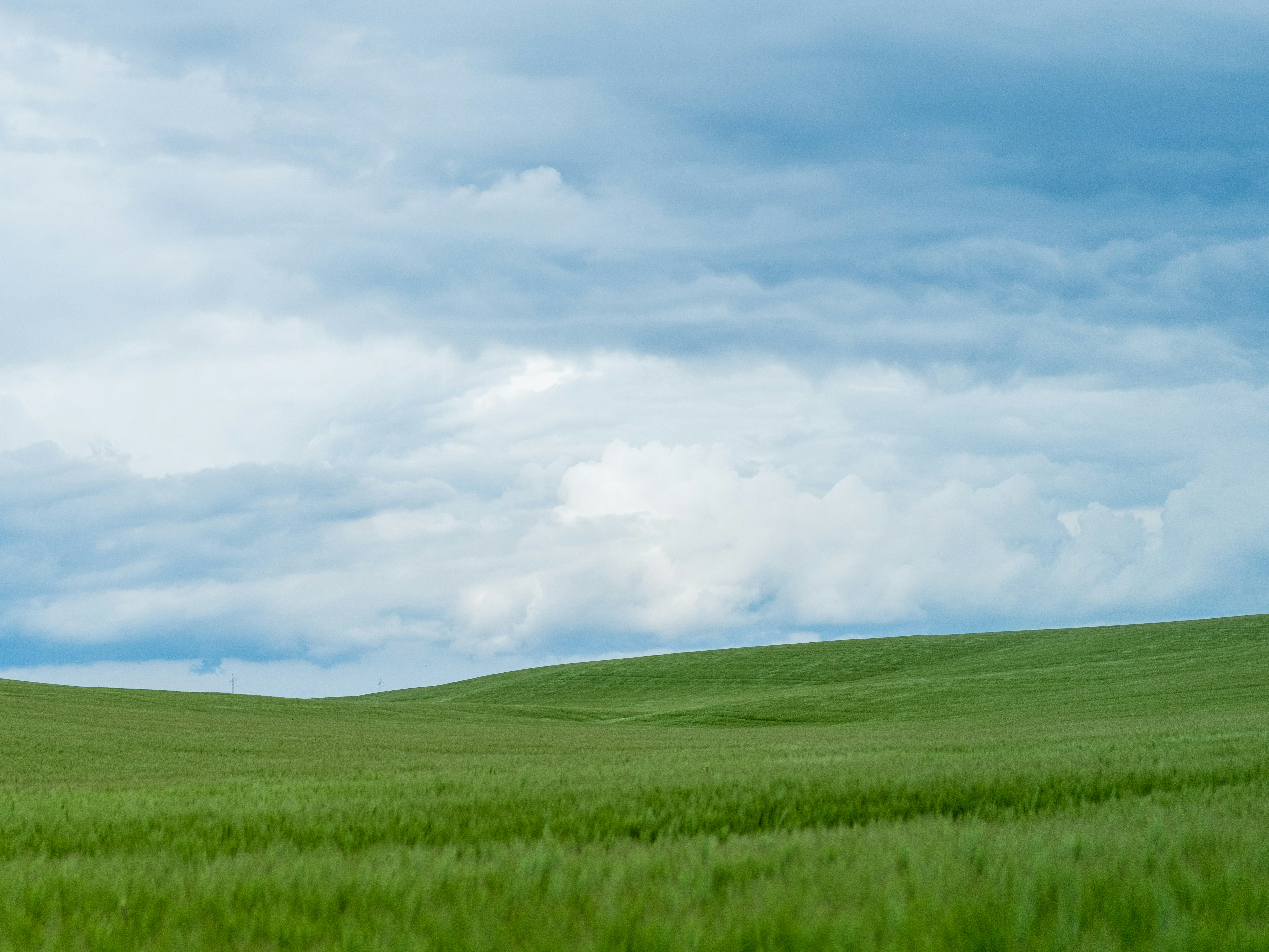 Photo by tulacsucson