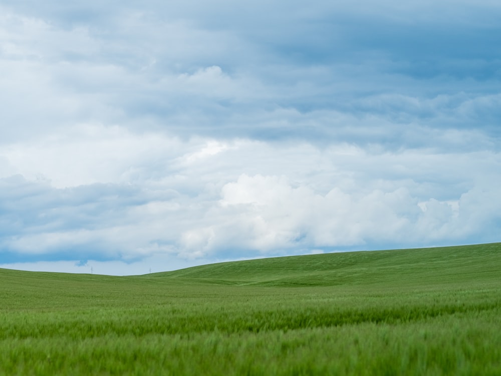 green grass field under white clouds and blue sky during daytime