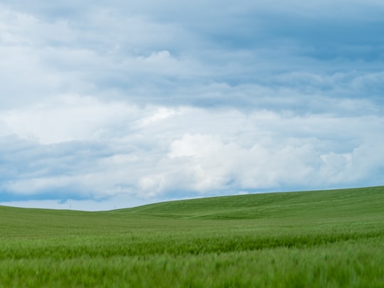 green grass field under white clouds and blue sky during daytime in Regöly Hungary