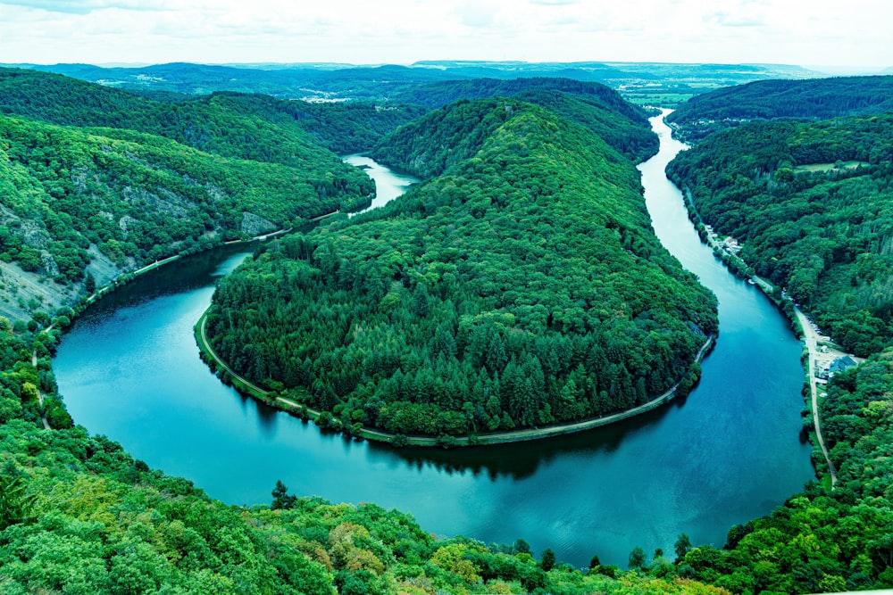 green trees on mountain beside river during daytime