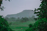 View from the balcony showing lush greenery around Na Can homestay.