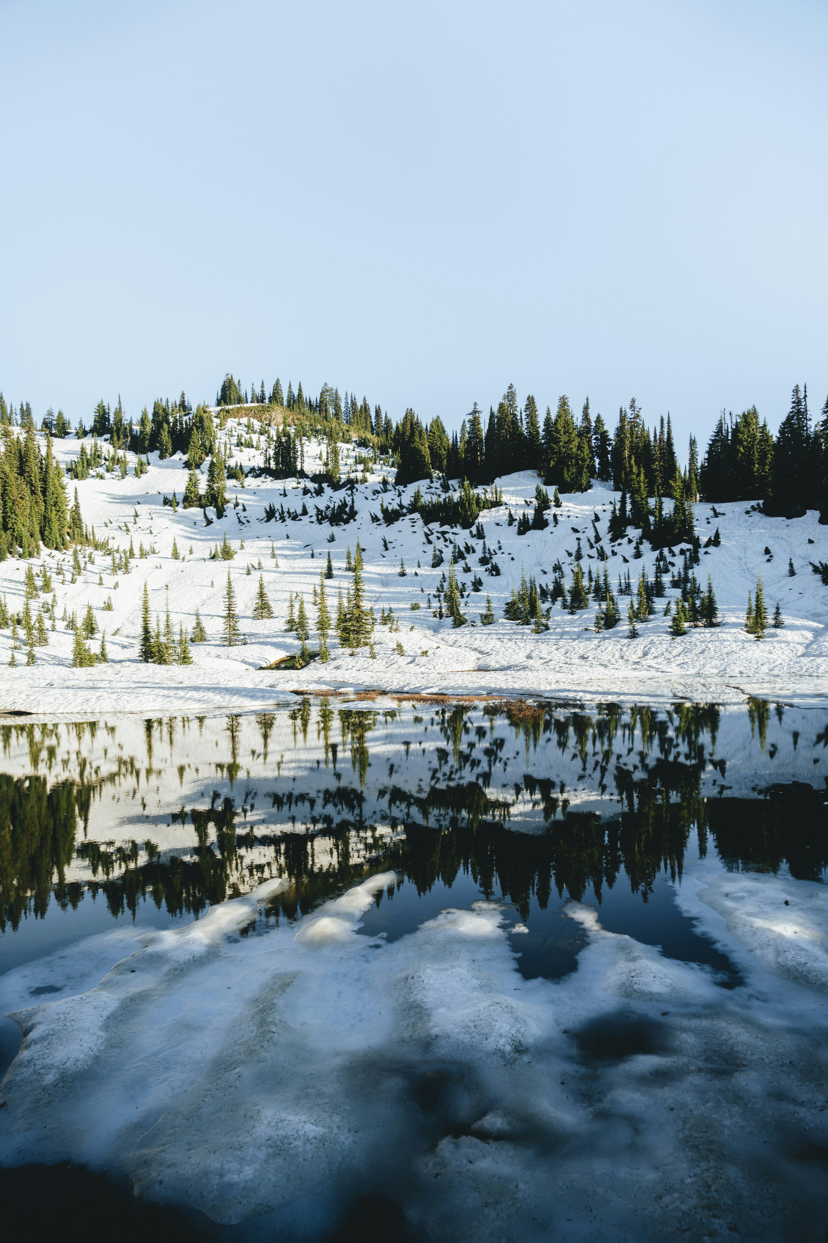 Photo by lifeof_peter_