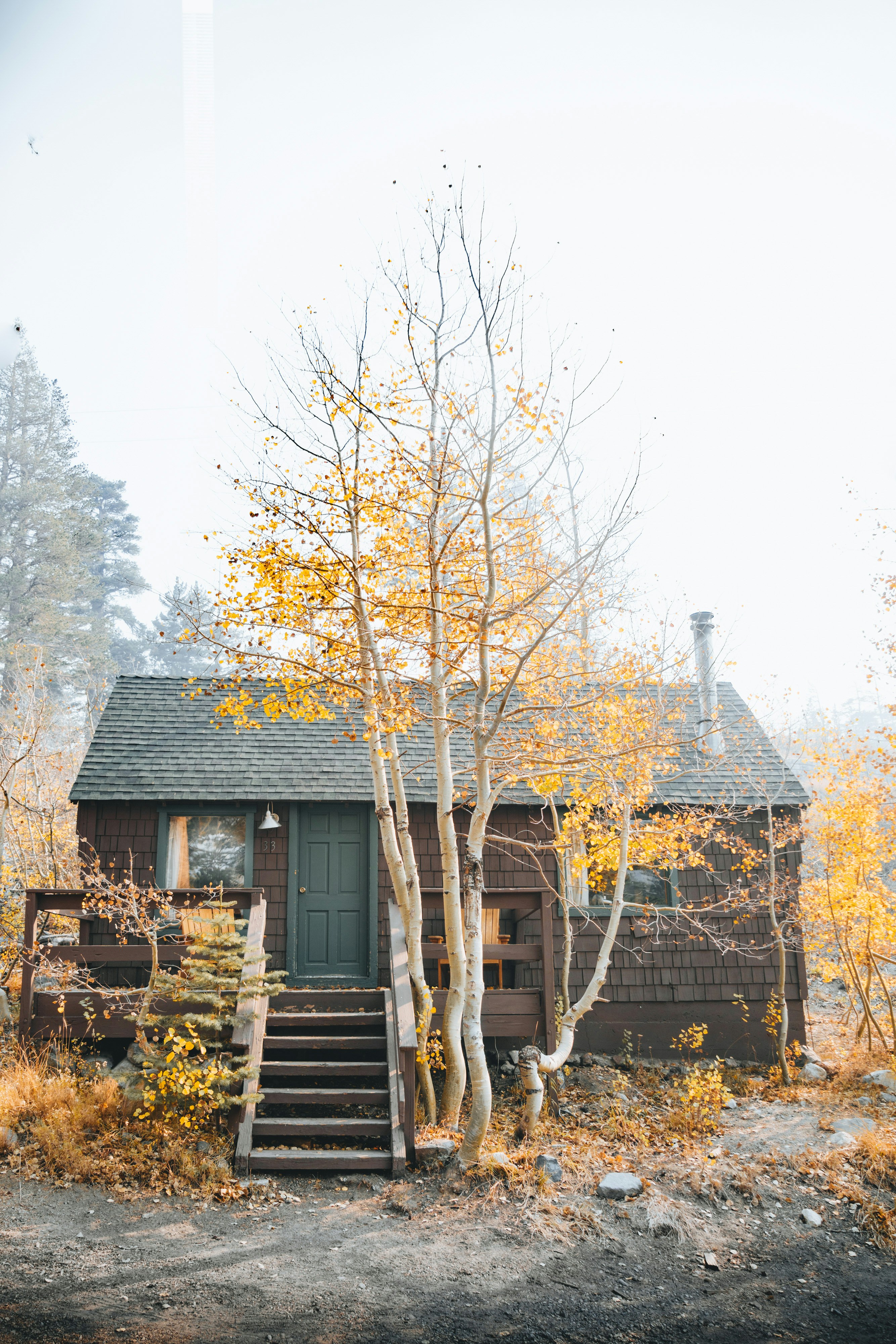 Photo by lifeof_peter_