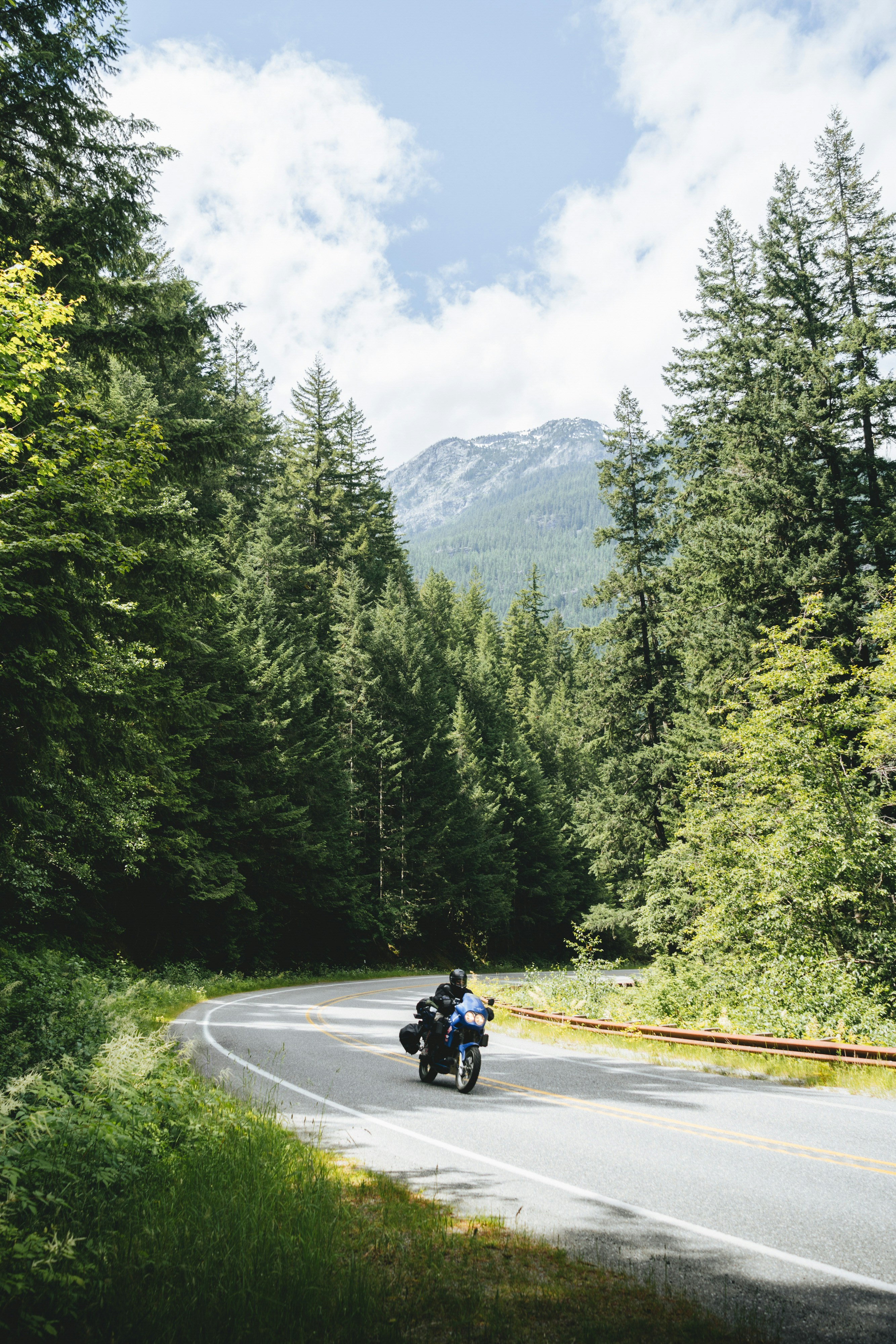 man riding motorcycle on road near green trees during daytime