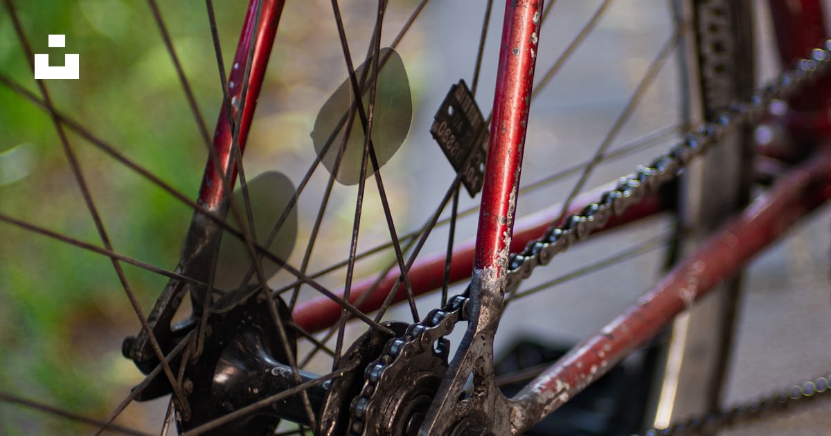 Red bicycle wheel with black tire photo – Free Bike Image on Unsplash
