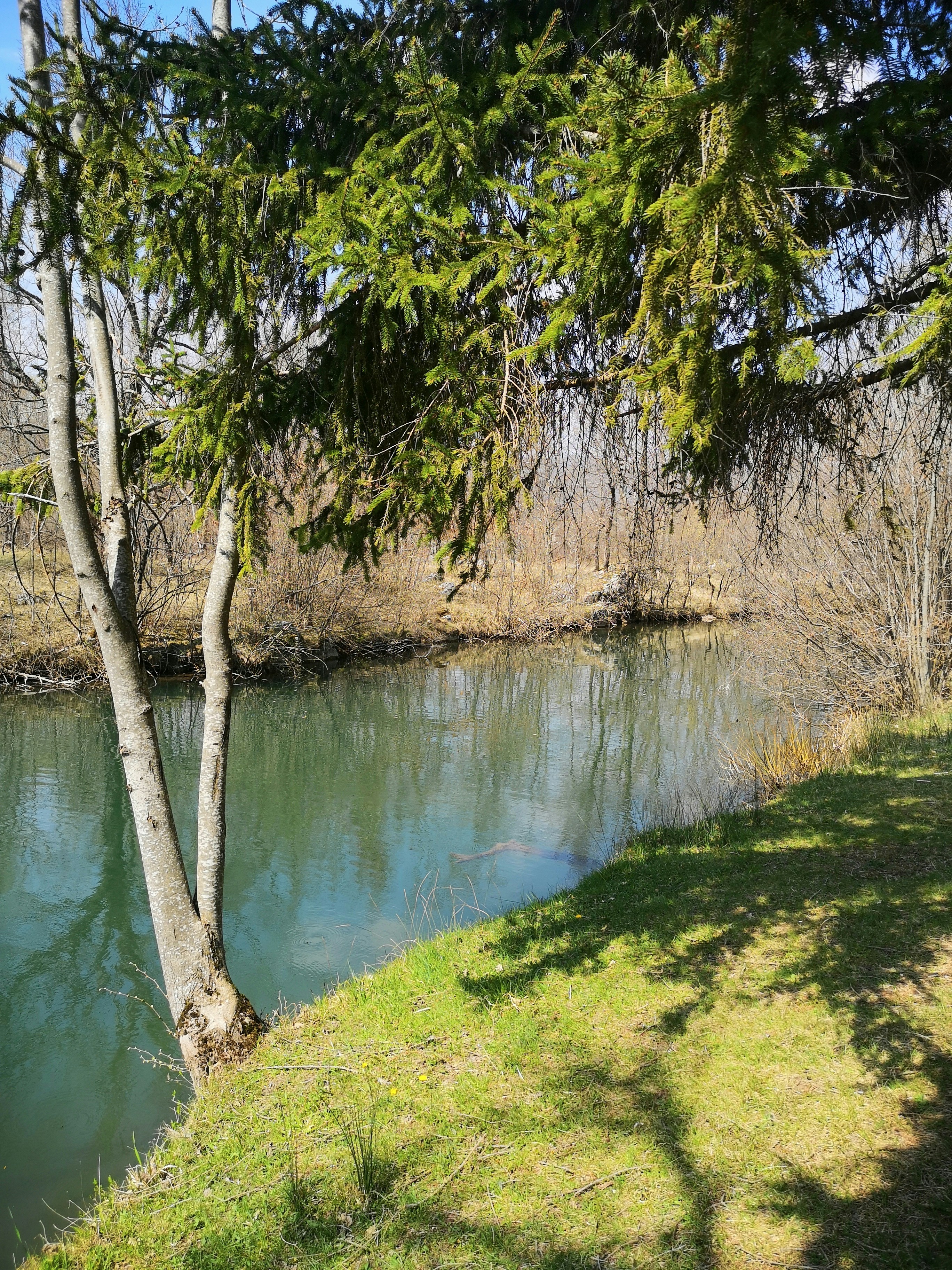 Photo by andrickaaa1