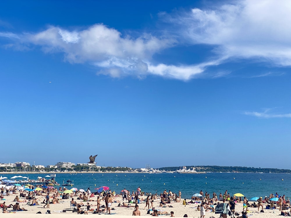 people on beach during daytime