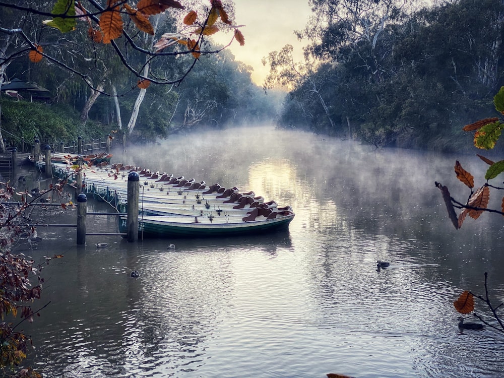 white and blue boat on water