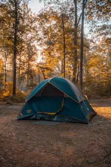 A cozy dress changing tent standing in a sun-dappled forest clearing.