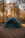 Smiling woman setting up a green Terraviva tent in a forest clearing at dawn