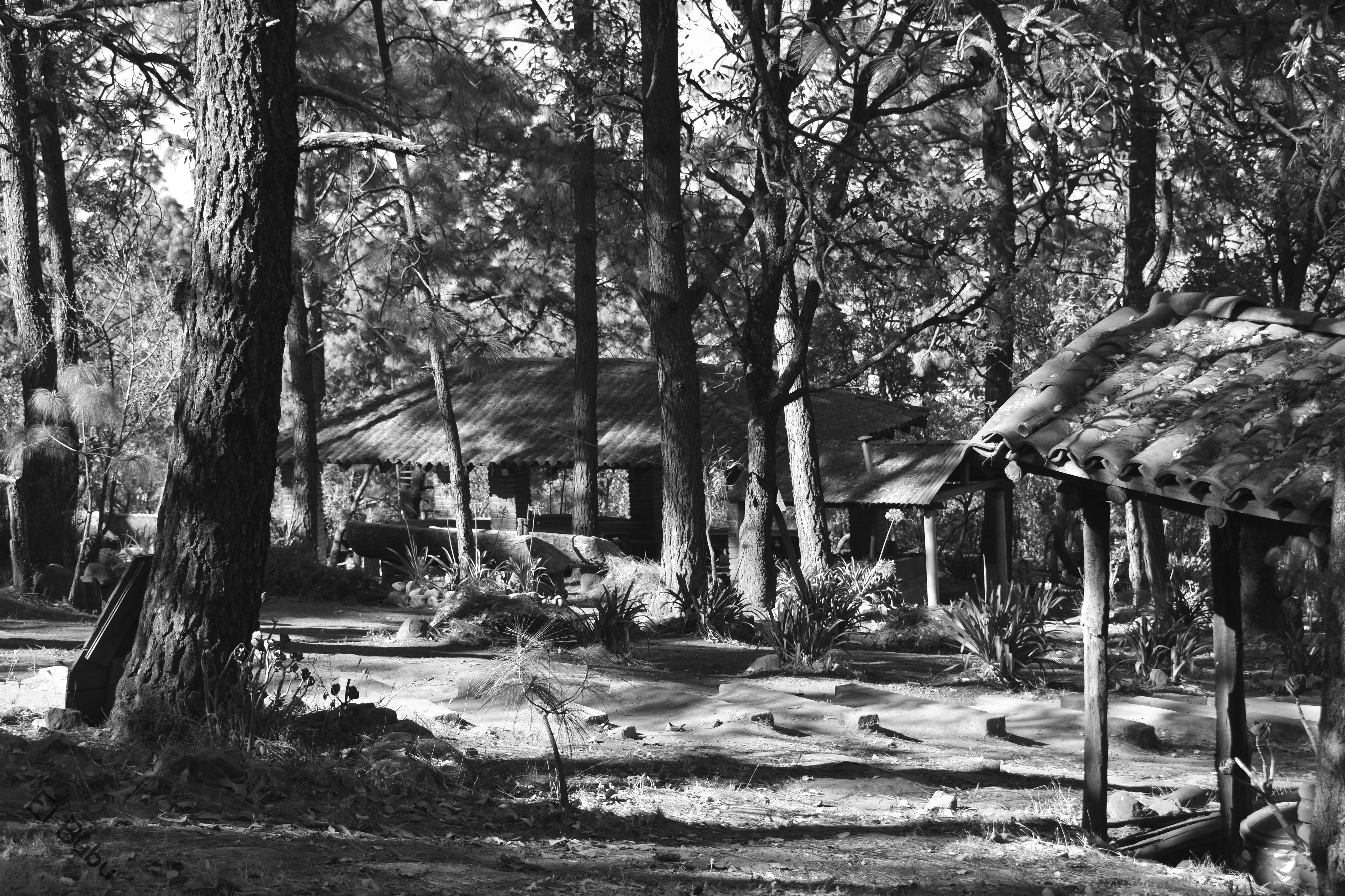 Photo by acgfotoestudio