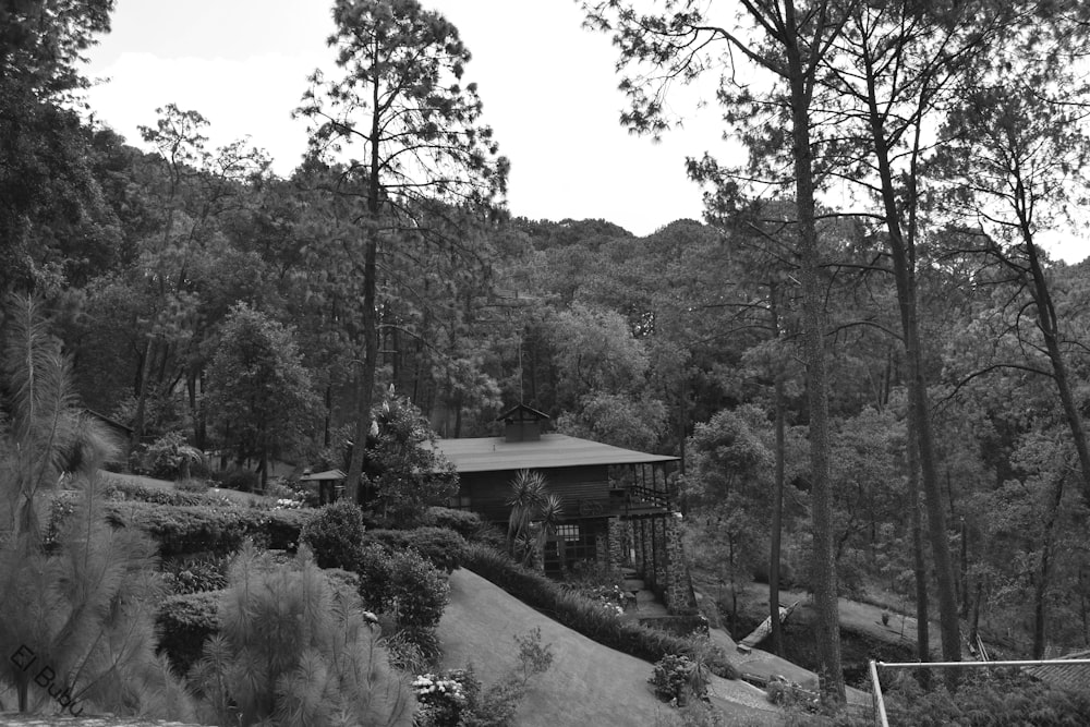 Photo en niveaux de gris d’une maison entourée d’arbres