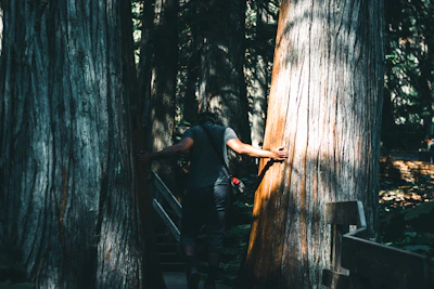 Hans gently guiding a somatic session outdoors amidst tall trees.