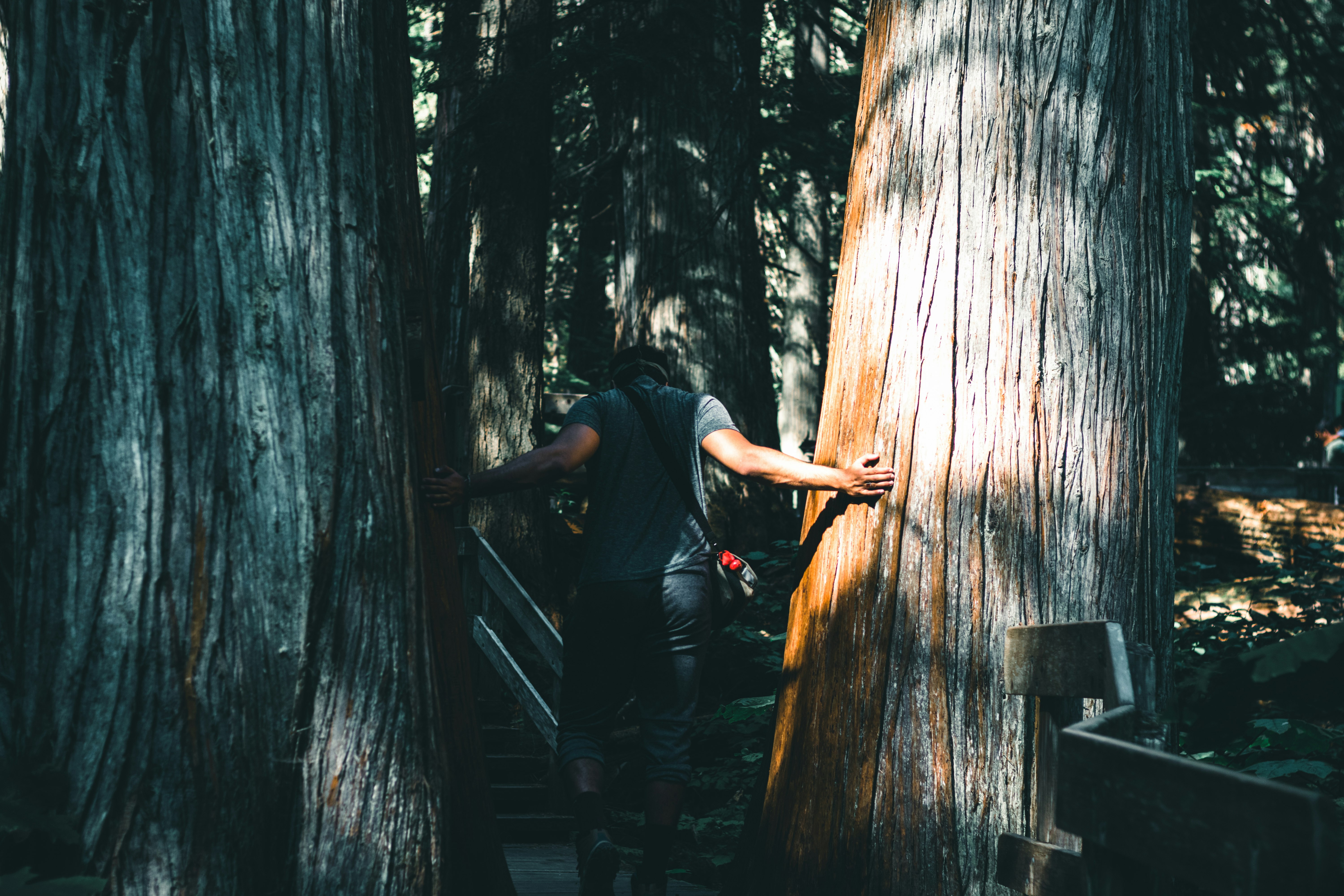 woman in black t-shirt and black pants sitting on wooden stairs