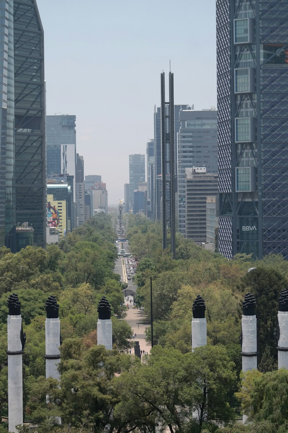 green trees near high rise buildings during daytime