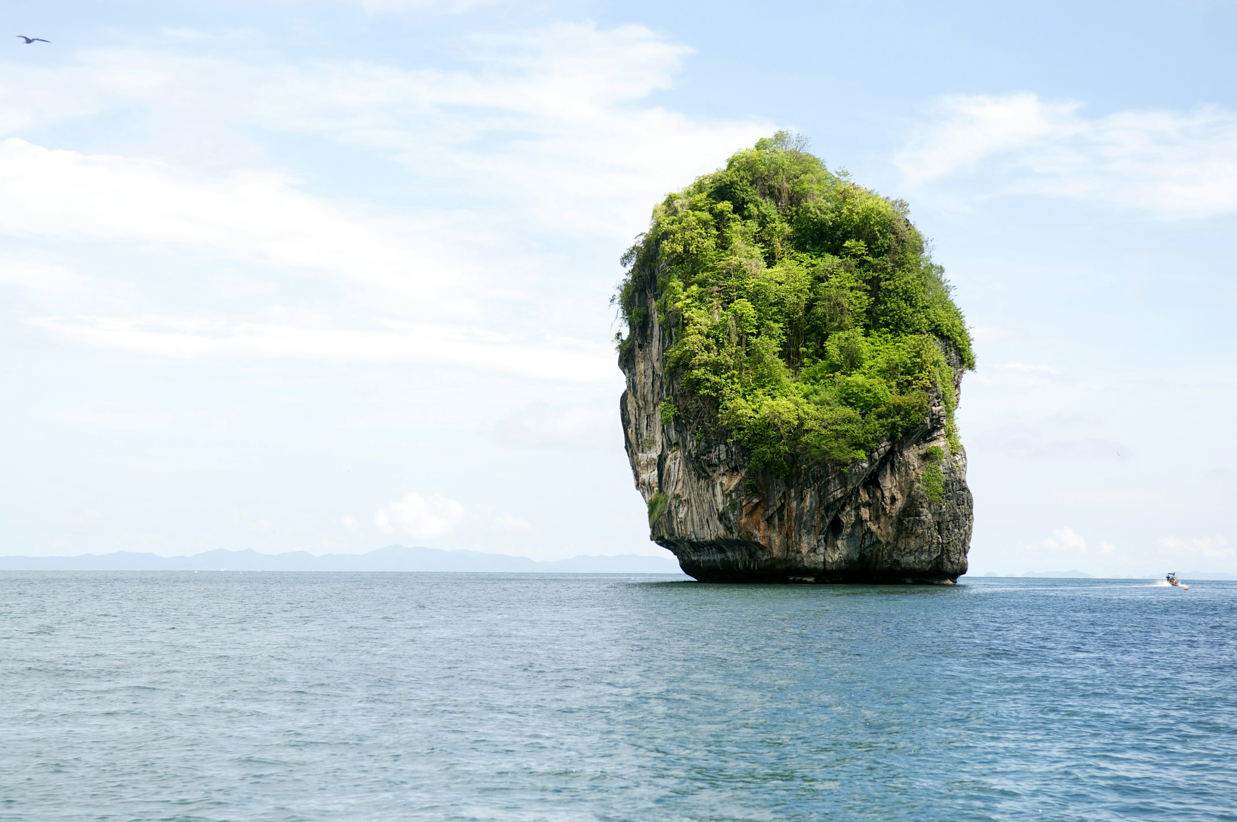 Photo by tommaomaoer