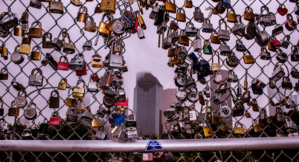 assorted padlock on gray metal fence