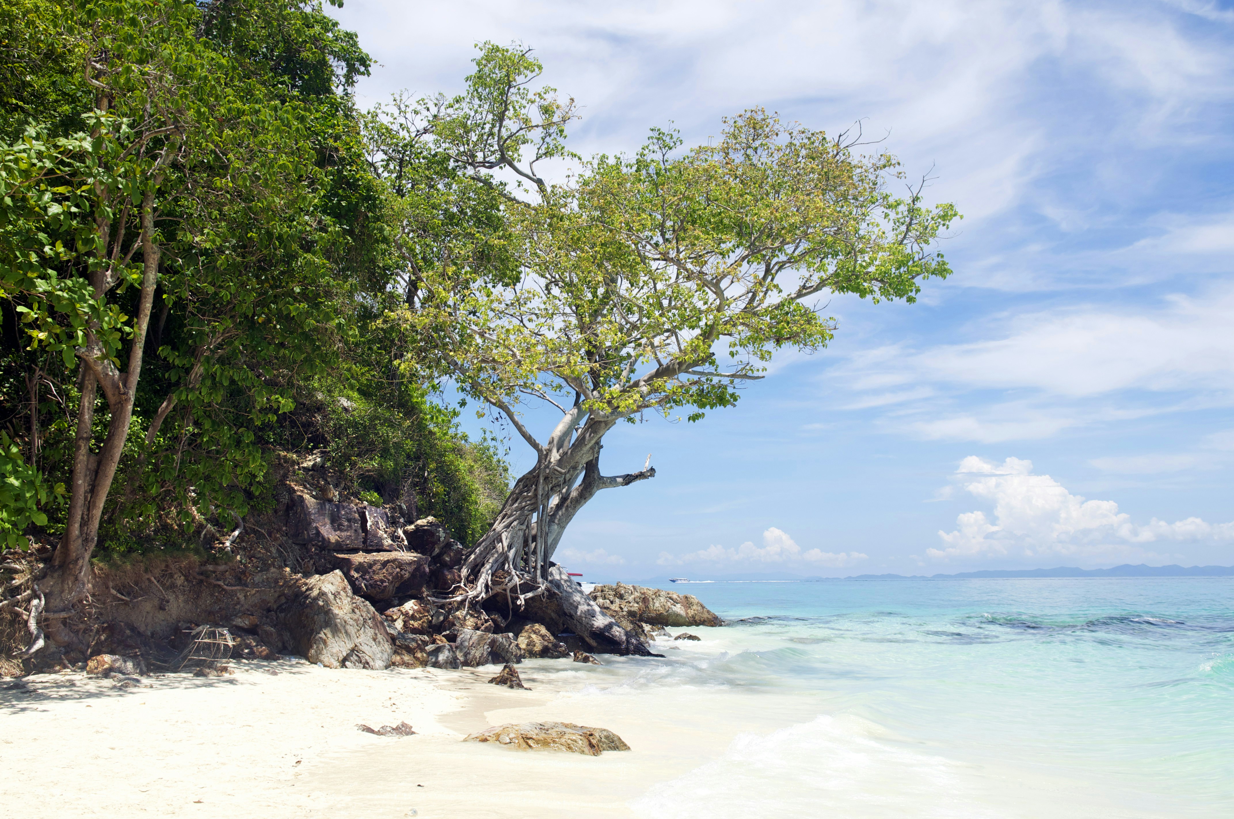 Photo by tommaomaoer