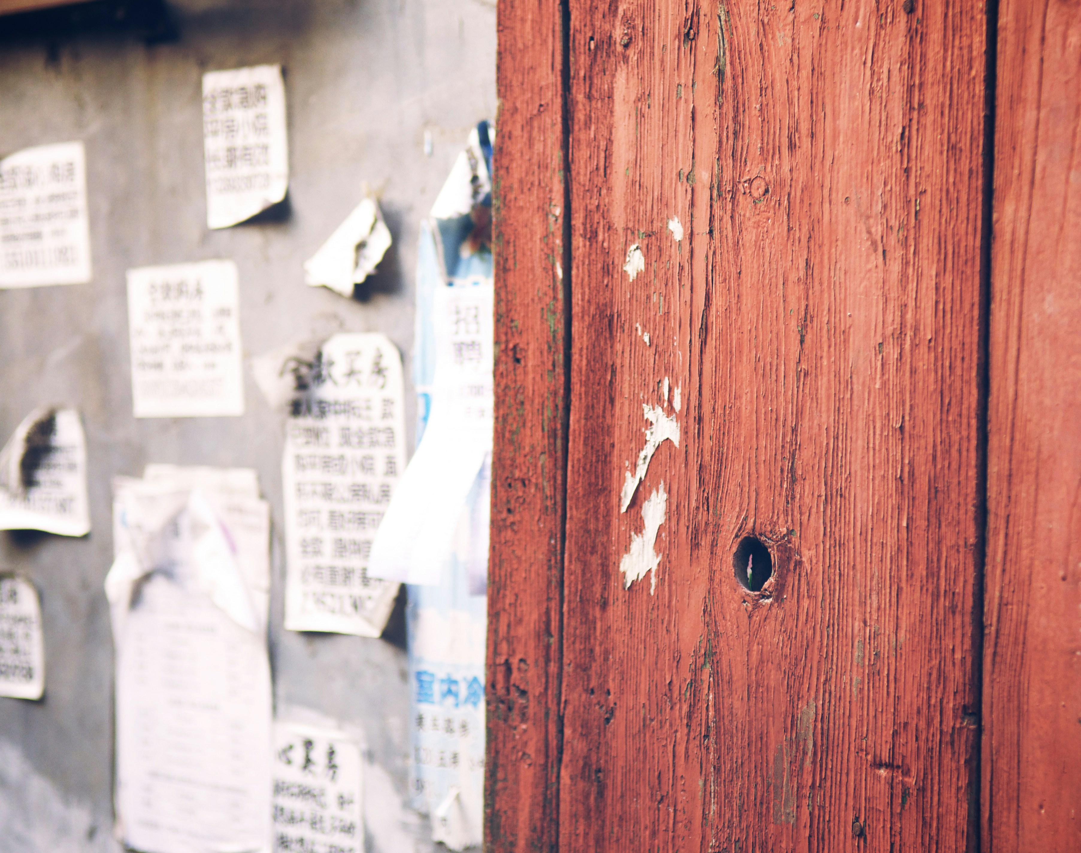 Photo by tommaomaoer