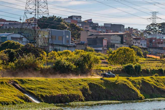 green grass field near body of water during daytime