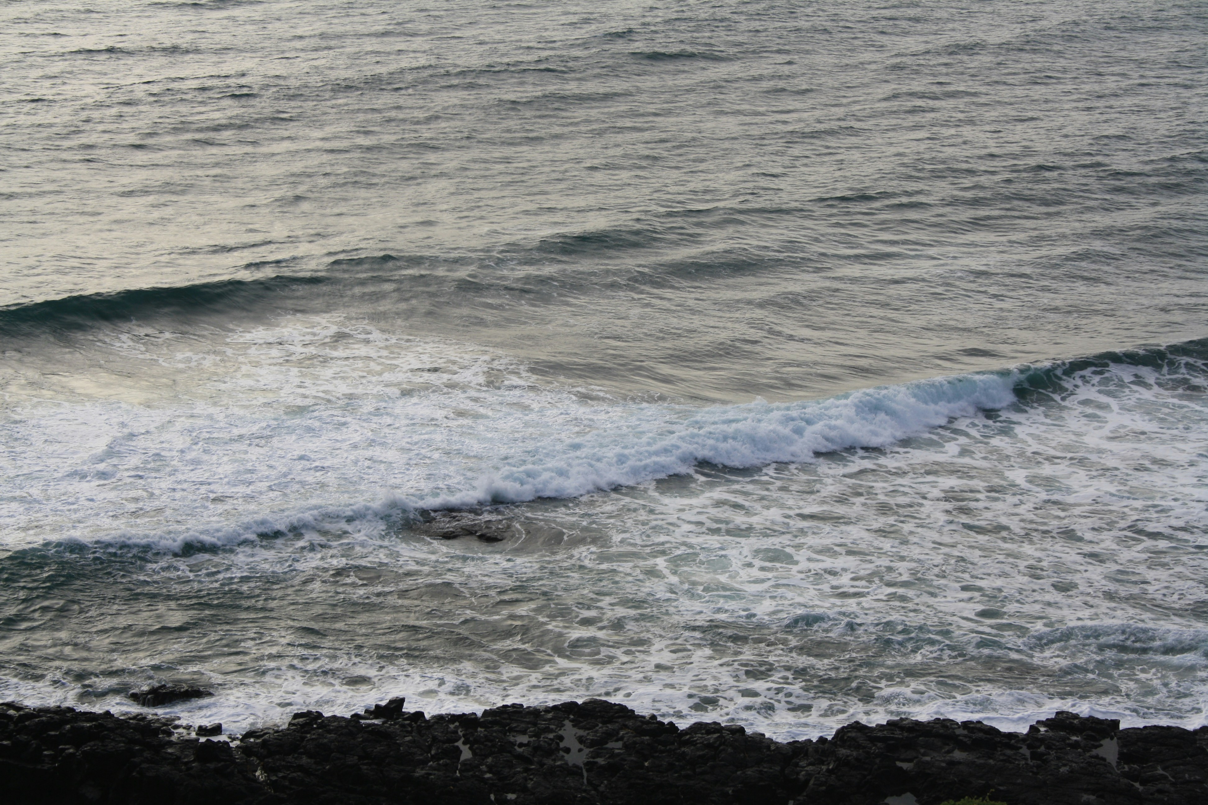 Photo by sanjanagore