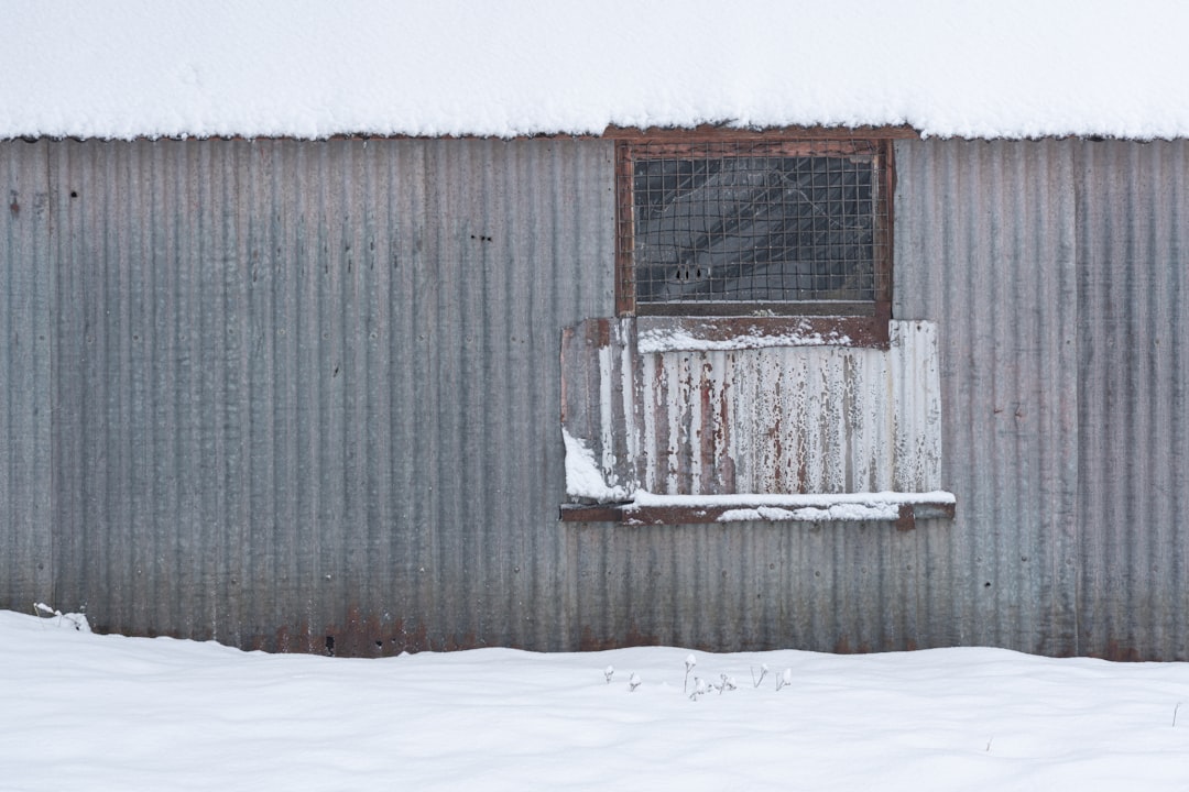 brown wooden house on snow covered ground