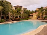 swimming pool near green palm trees during daytime