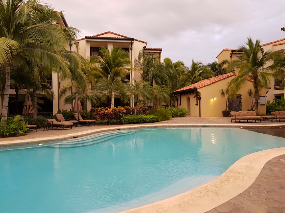 swimming pool near green palm trees during daytime