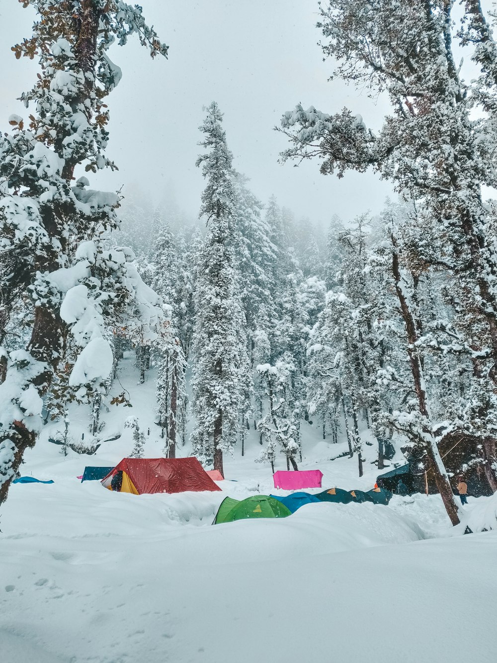 green and red tent on snow covered ground