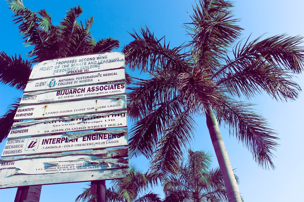 green palm tree under blue sky during daytime