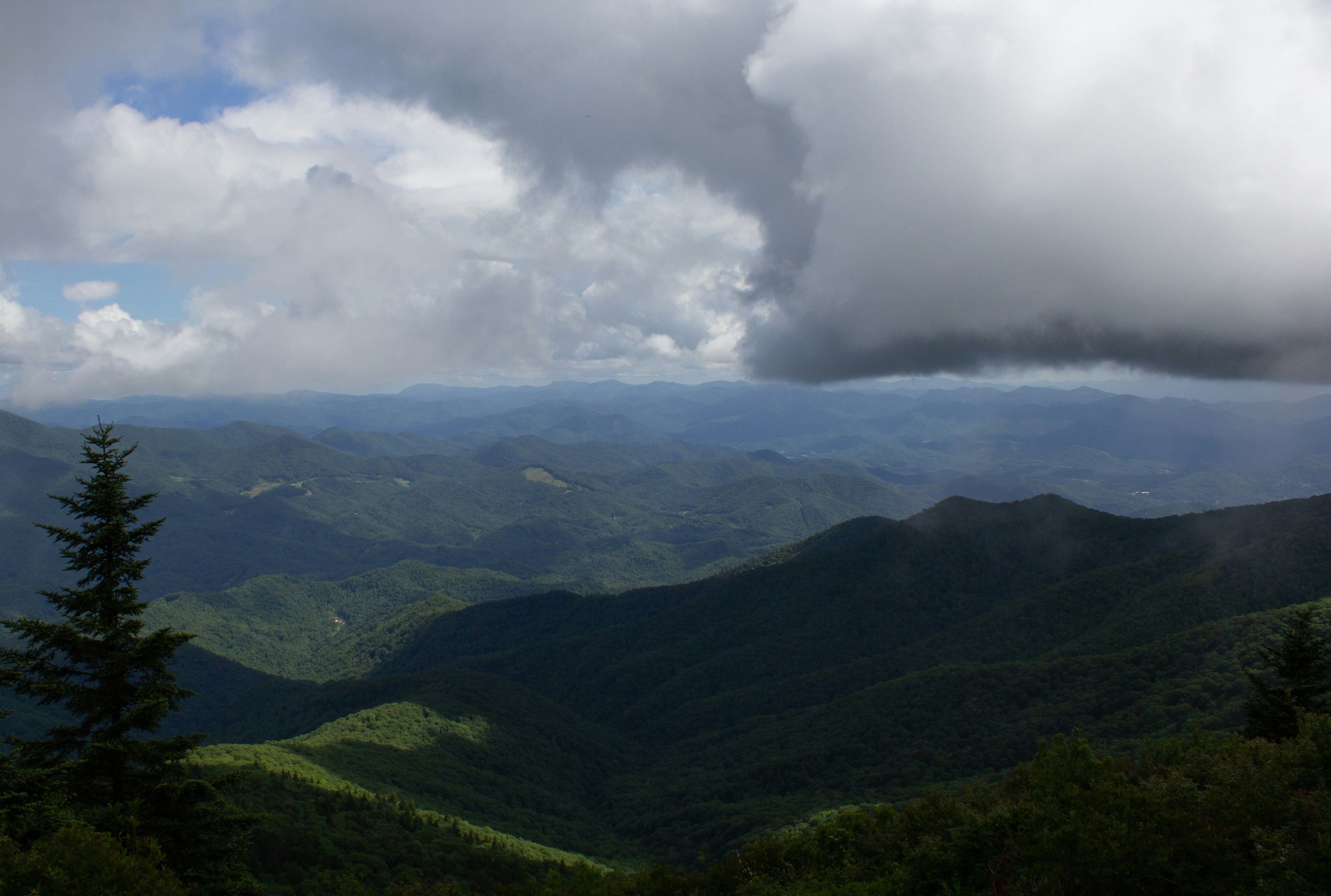 Photo by leslie_outofdoors