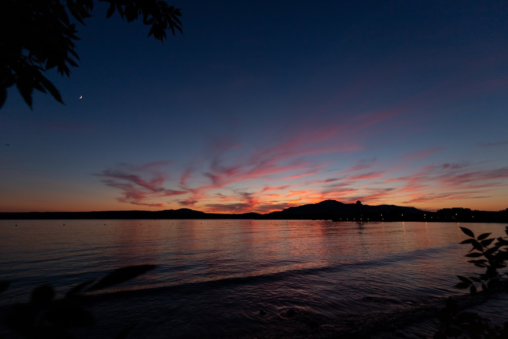 silhouette of palm trees near body of water during sunset