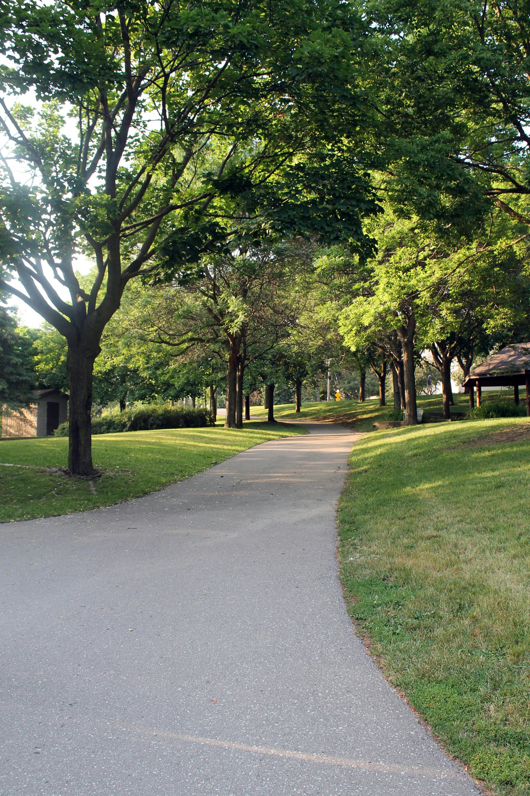 Photo by smohammad77