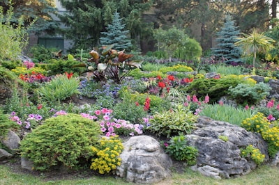 A vibrant garden with colorful flowers and decorative stones, perfect for Florida homes.